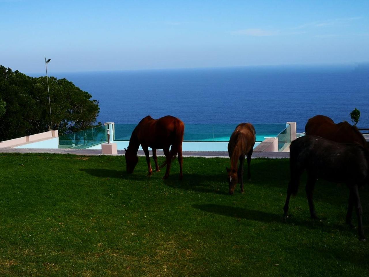 Tsitsikamma On Sea Resort Witelsbos 외부 사진